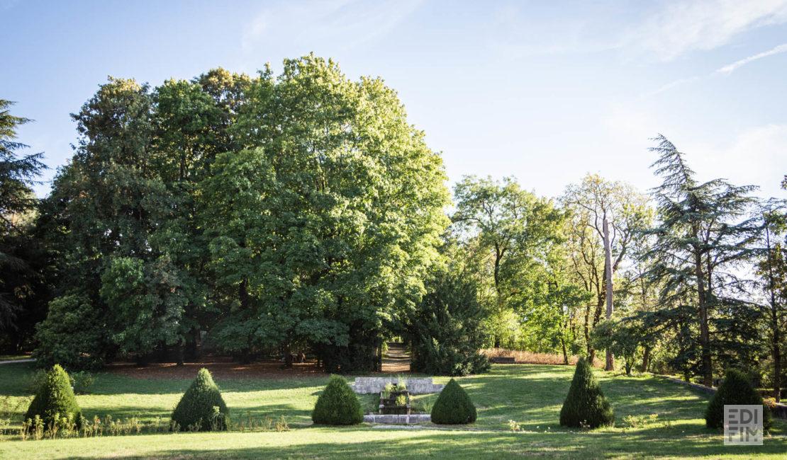 Parc de Buisson-Rond | Anna Ivanova Photography