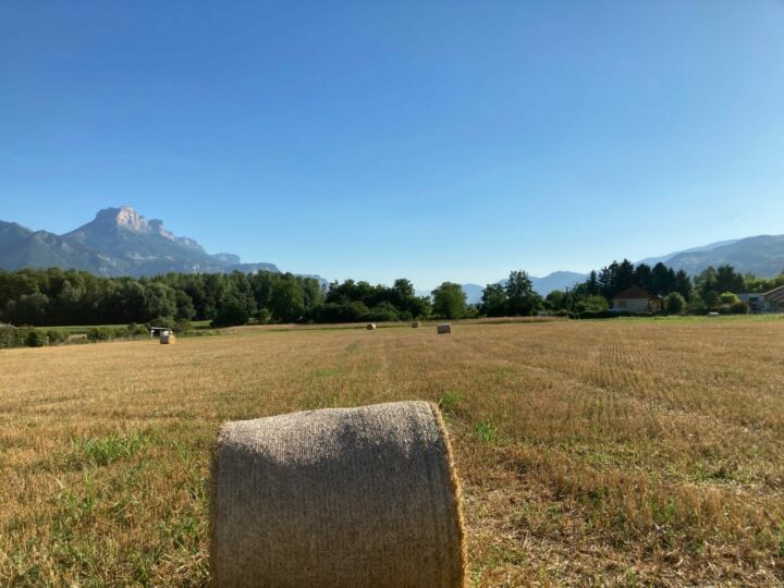 Terrain de la future résidence à Domène en Isère.